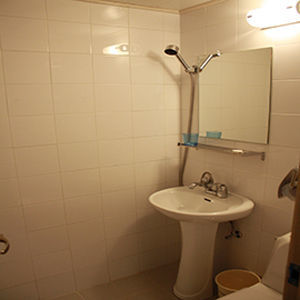 Blooming House 3*